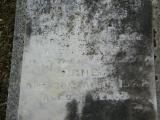 image of grave number 245750